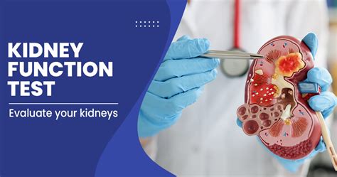 why is my kidney test important